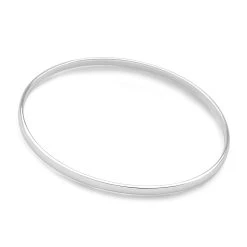 Classic Flat Banded Bangle -Silver Store BGL793 03