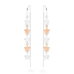 Golden Star Willow Earrings -Silver Store E5584 03