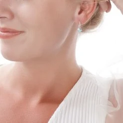 Tropic Star Earrings -Silver Store E5709 02