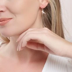 Winter Robin Earrings -Silver Store E5772 02