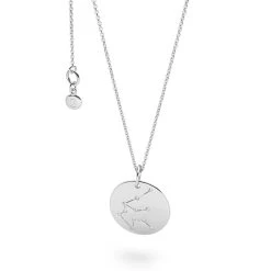 Aquarius Constellation Pendant -Silver Store P2690 01