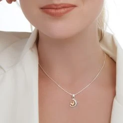 Moonlit Love Pendant -Silver Store P3007 02